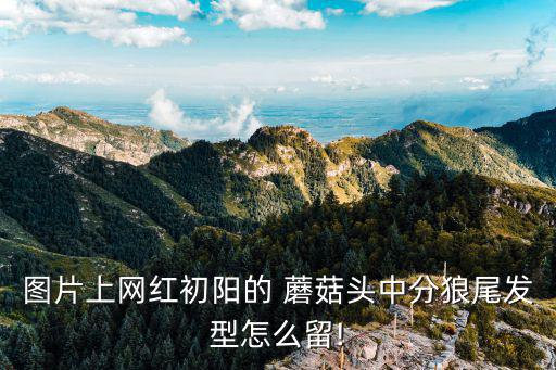 圖片上網紅初陽的 蘑菇頭中分狼尾發型怎么留!