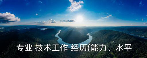  專業 技術工作 經歷(能力、水平