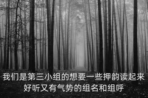 我們是第三小組的想要一些押韻讀起來好聽又有氣勢的組名和組呼