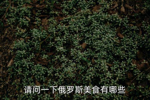 請問一下俄羅斯美食有哪些