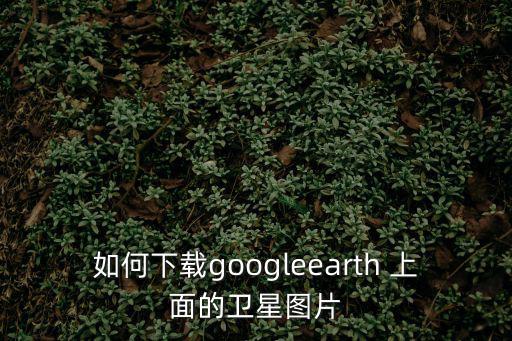 如何下載googleearth 上面的衛星圖片