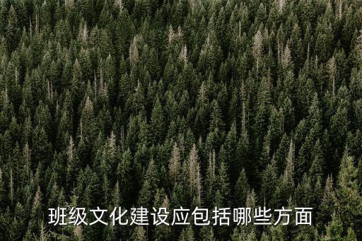班級文化建設應包括哪些方面