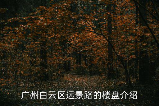 廣州白云區(qū)遠(yuǎn)景路的樓盤(pán)介紹