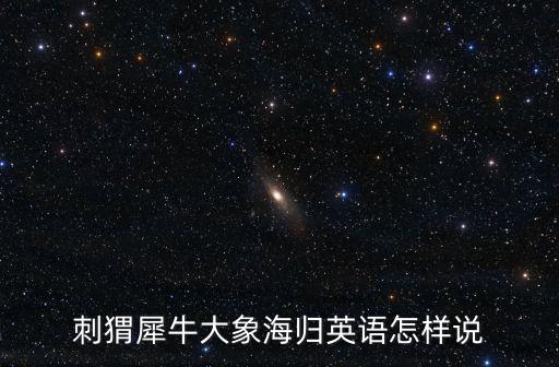 刺猬犀牛大象海歸英語怎樣說