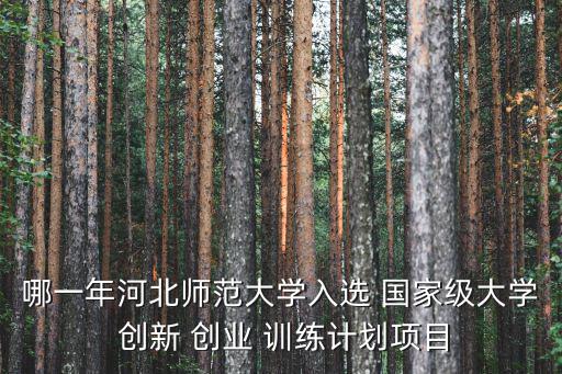 國家級大學生創新創業訓練計劃項目
