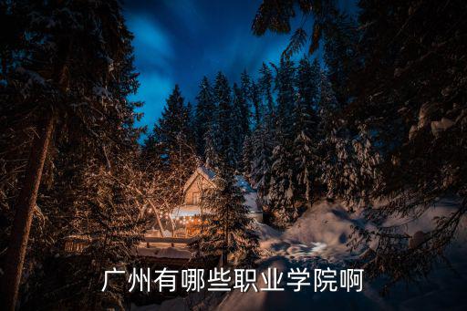 廣州有哪些職業學院啊