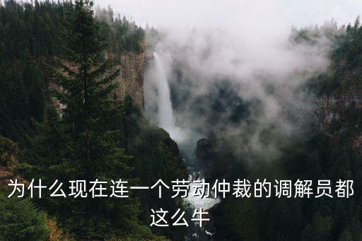 為什么現在連一個勞動仲裁的調解員都這么牛