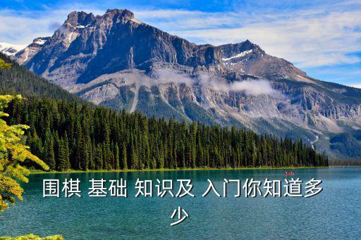  圍棋 基礎(chǔ) 知識及 入門你知道多少