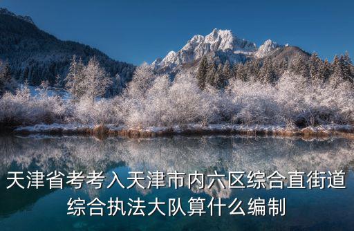 天津省考考入天津市內六區綜合直街道綜合執法大隊算什么編制