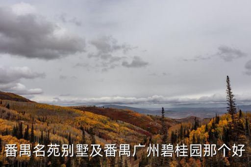 番禺名苑別墅及番禺廣州碧桂園那個好