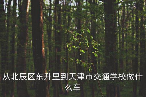 從北辰區(qū)東升里到天津市交通學(xué)校做什么車(chē)
