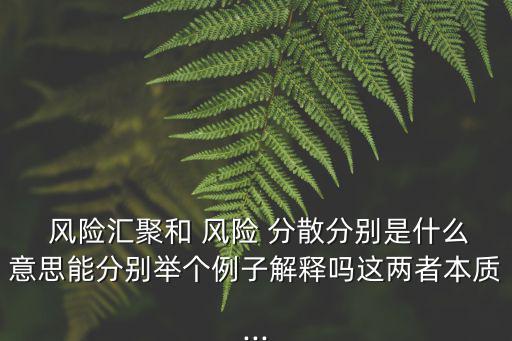  風(fēng)險(xiǎn)匯聚和 風(fēng)險(xiǎn) 分散分別是什么意思能分別舉個(gè)例子解釋嗎這兩者本質(zhì)...