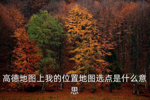 高德地圖上我的位置地圖選點是什么意思