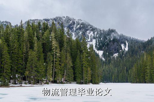 物流管理畢業論文