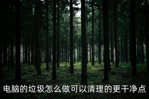 電腦的垃圾怎么做可以清理的更干凈點