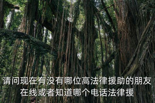 請問現在有沒有哪位高法律援助的朋友在線或者知道哪個電話法律援