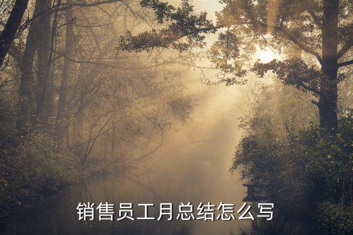 銷售員工月總結(jié)怎么寫