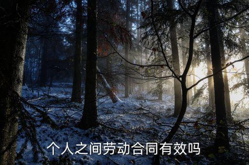個人之間勞動合同有效嗎