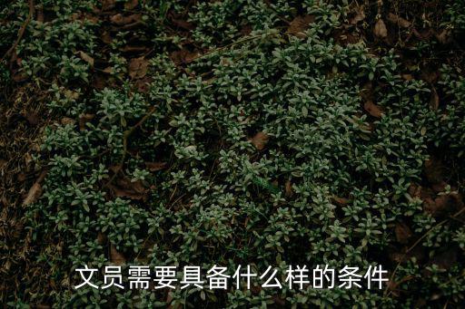 2022文職人員報(bào)考條件女生，當(dāng)文員需要什么條件