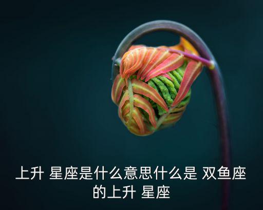 上升 星座是什么意思什么是 雙魚座的上升 星座