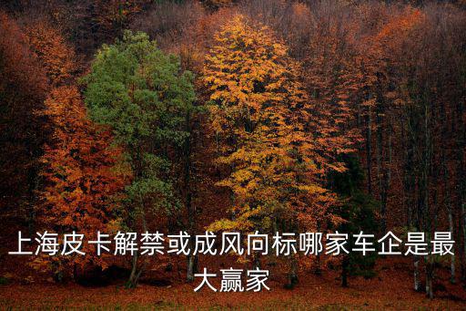 上海市風向標，上海風向標美發怎么樣請各位有去做過頭發的JM告知一下下謝過謝過