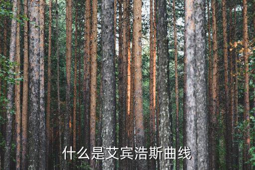 什么是艾賓浩斯曲線
