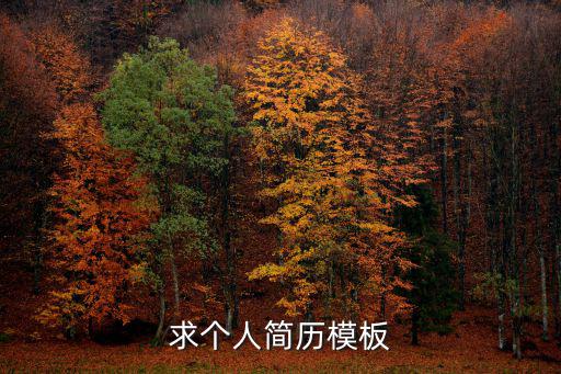 個(gè)人簡(jiǎn)歷素材，個(gè)人簡(jiǎn)歷模板