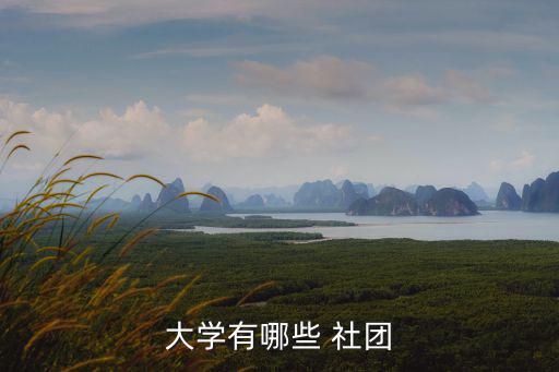 校園社團(tuán),學(xué)生社團(tuán)可打破年級(jí)、院系、學(xué)校界限