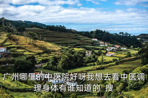 廣州哪里的中醫院好呀我想去看中醫調理身體有誰知道的  搜