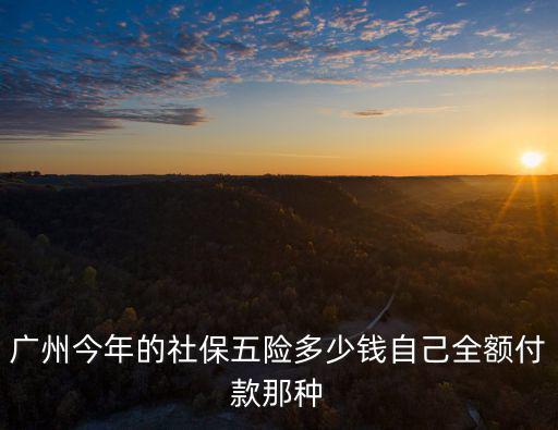 廣州今年的社保五險多少錢自己全額付款那種