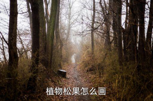 植物松果怎么畫(huà)