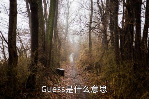 guess什么意思,猜測職場職業生涯規則