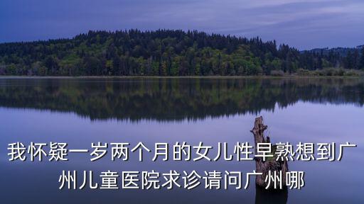 我懷疑一歲兩個(gè)月的女兒性早熟想到廣州兒童醫(yī)院求診請問廣州哪