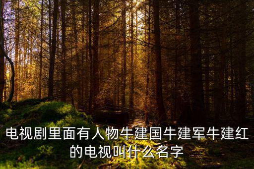 電視劇里面有人物牛建國牛建軍牛建紅的電視叫什么名字