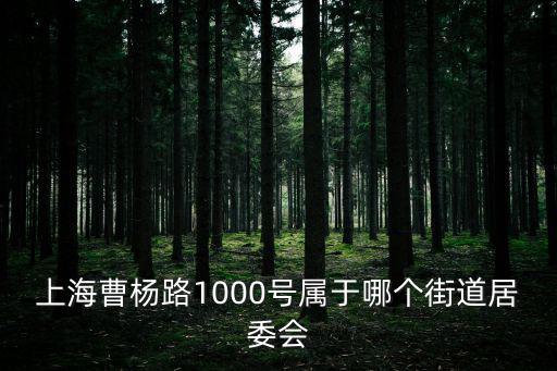 上海市曹楊七村屬于哪個街道的，曹楊路2170 哪個街道
