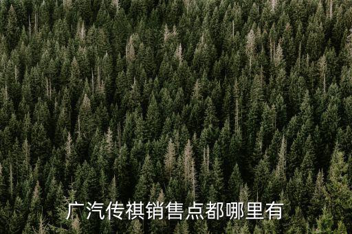 廣汽傳祺銷(xiāo)售點(diǎn)都哪里有