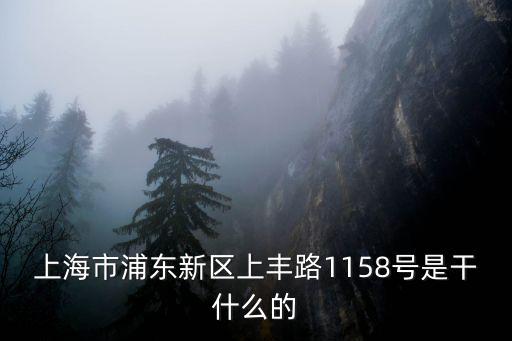 上海市浦東新區的密室逃脫，上海浦東的北大青鳥好嗎