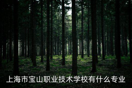 上海市寶山職業(yè)技術(shù)學(xué)校有什么專業(yè)