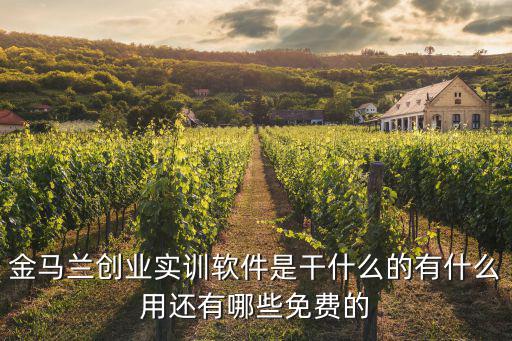 金馬蘭創(chuàng)業(yè)實(shí)訓(xùn)軟件是干什么的有什么用還有哪些免費(fèi)的