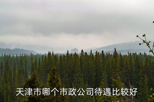 天津市哪個市政公司待遇比較好