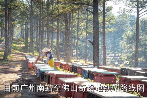 目前廣州南站至佛山奇路地鐵站路線圖