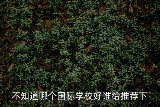 不知道哪個國際學校好誰給推薦下