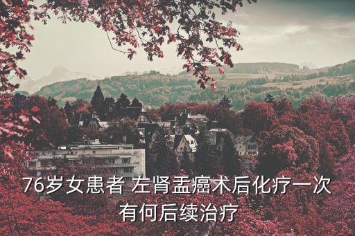 76歲女患者 左腎盂癌術(shù)后化療一次 有何后續(xù)治療