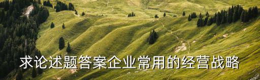 求論述題答案企業(yè)常用的經(jīng)營戰(zhàn)略