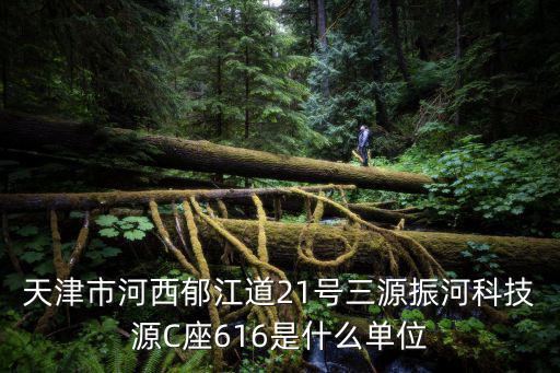 天津市河西郁江道21號三源振河科技源C座616是什么單位