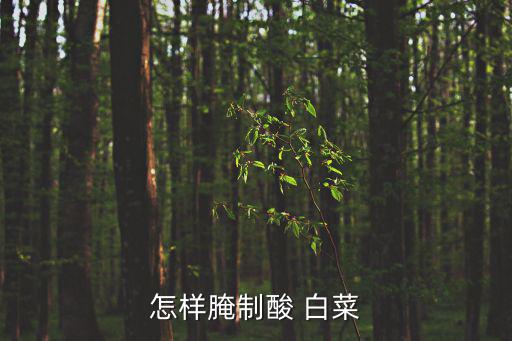 酸白菜,用刀沿白菜長度方向切開晾干一兩天腌制酸菜