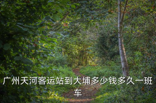 廣州天河客運(yùn)站到大埔多少錢(qián)多久一班車