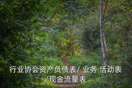業務活動表,利潤表轉換:凈資產變動應為凈利潤