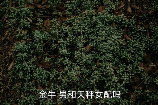 金牛 男和天秤女配嗎