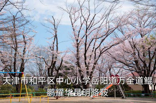 天津市和平區中心小學岳陽道萬全道鯤鵬耀華昆明路鞍